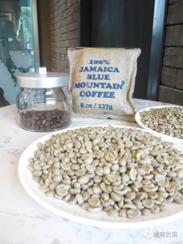 How to distinguish between genuine and fake Blue Mountain Coffee where can I buy Blue Mountain Coffee with Blue Mountain flavor
