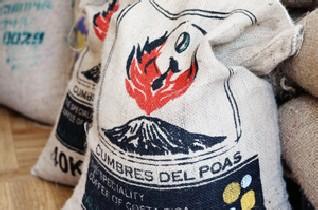 Central American coffee producing country Costa Rica Central Valley Fire Phoenix Manor Red honey processing SHB grade coffee