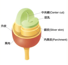 What does the coffee fruit look like? what the coffee fruit looks like?