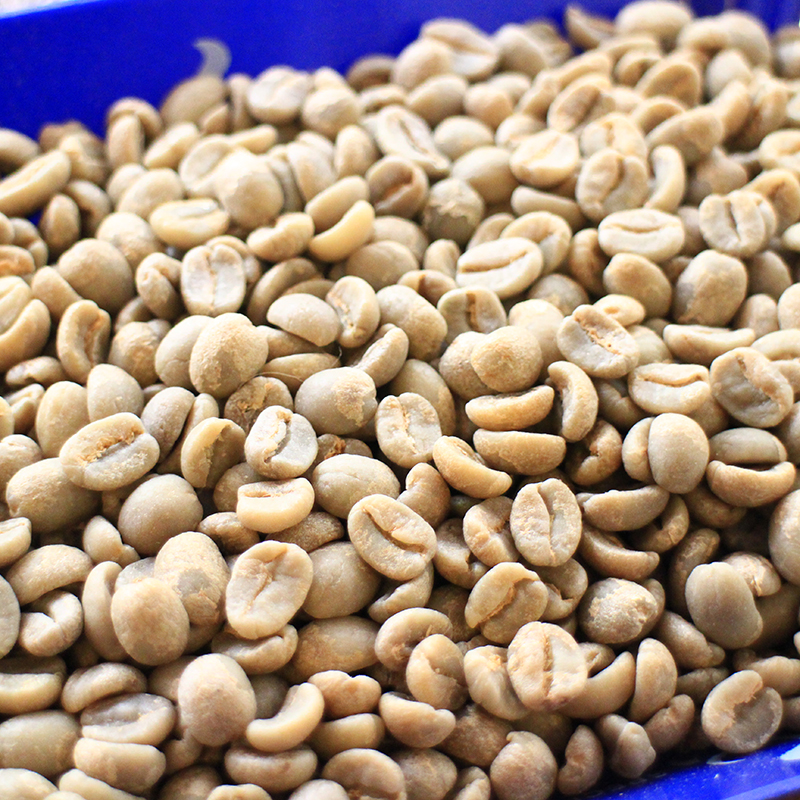 What kind of raw beans are high-quality raw beans? How to choose raw coffee beans? Ninety + levelup students
