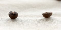 Coffee beans or mother beans, round beans, oval coffee beans, roasted coffee beans, coffee beans.