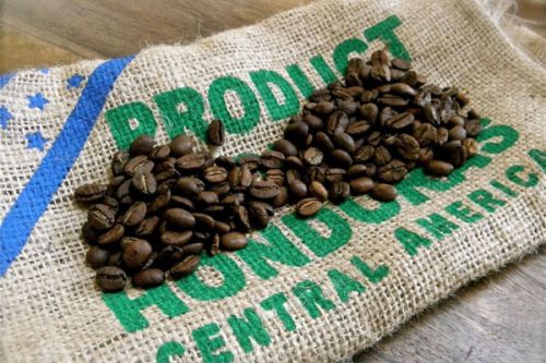 El Salvador Himalayan Manor half-Sun Red Bourbon how to turn coffee beans into coffee beans