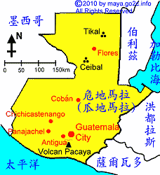 Is the Guava Plain Manor in the New Oriental region of Guatemala Robusta or Arabica?
