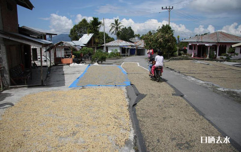 Tin or bourbon? Coffee beans price El Salvador Himalayas