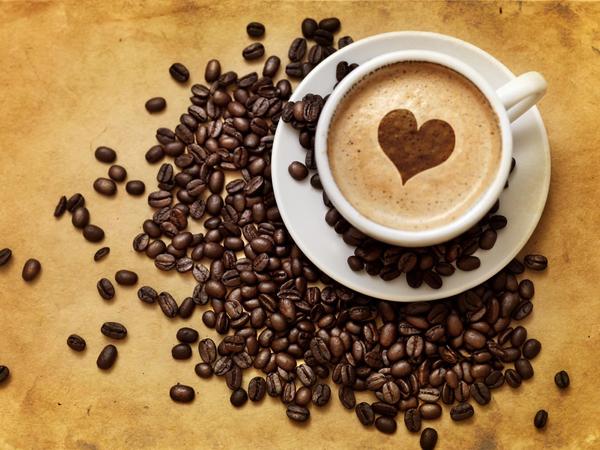 What is the difference between Arabica coffee beans and other coffee beans? Aceh 19 mesh, Sumatra, Indonesia