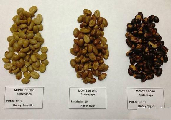 What is the difference between yellow honey, red honey and black honey in the flavor of coffee raw soybean honey? Gostad