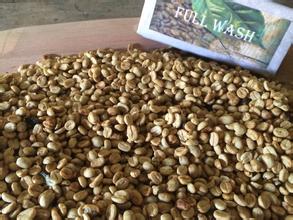 China Coffee Network discount recommendation [Special offer] Costa Rican Red Honey treated Fine Coffee Bean Red Honey