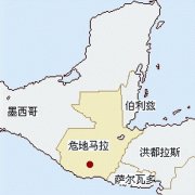 Coffee import declaration, coffee bean import declaration, supply, Guatemala coffee import declaration process