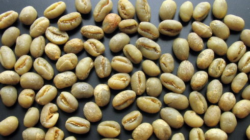Tanzania Coffee Green Bean Kilimanjaro AA Black Plum Flavor Balanced Acidity Soft Mild