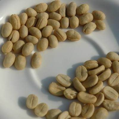 Uganda, Kenya and Tanzania are one of the major coffee exporters in Africa and the world.