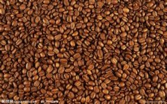 Fine Honduran coffee tastes delicious the price of Honduran coffee