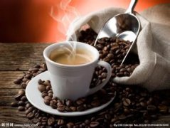 The origin of boutique Salvadoran coffee beans price boutique coffee