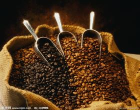 Characteristics of Indonesian coffee beans introduce boutique coffee