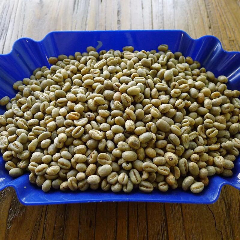 How much is Kopi Luwak? the origin of Kopi Luwak Indonesia Kopi Luwak