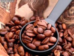 Fine coffee Ethiopian coffee bean treatment method Ethiopian raw bean specification
