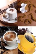 Boutique coffee Costa Rican coffee manor Costa Rican coffee producing area
