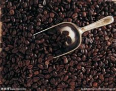 Boutique coffee Costa Rican coffee bean producing area Costa Rican coffee manor