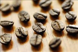 High-quality coffee Guatemala coffee bean treatment method washing