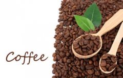 Boutique coffee Tanzania coffee flavor apricot, dates, spices, malt chocolate