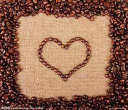 Boutique coffee Salvadoran coffee features introduction to Salvadoran coffee