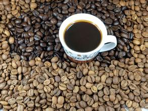 Boutique Coffee in Guatemala Coffee region Vivette Nan Fruit
