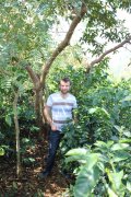 Mocha Coffee Bean Yemeni Coffee Boutique Coffee
