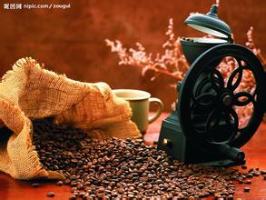 The History of Coffee the Origin of Coffee