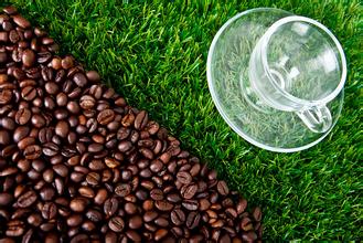 Colombia Coffee Culture Colombia Coffee History