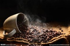 Guatemalan Coffee introduces Historical Taste characteristics