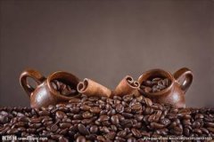 Introduction to the origin of coffee beans in El Salvador