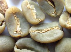 Peruvian coffee has both the brightness of Central American coffee and the mellowness of South American coffee.