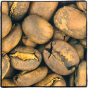 Ecuadorian coffee has a long history, single coffee, manor beans.