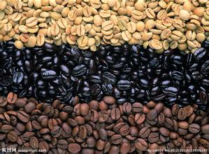 Varieties of coffee beans how long does it take for coffee trees to blossom