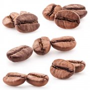 Liberia, produced in West Africa, currently accounts for about 5% of the world's total economically grown coffee production.
