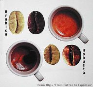 The most commonly used way of making coffee by hand is the stable way of making coffee.