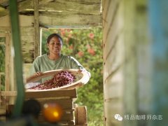 The popular boutique coffee Yega Xuefei of Ethiopia