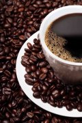 What is coffee beans? How to grow beans in English