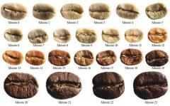 Advantages and disadvantages of direct fire roaster how to roast coffee beans with fried beans