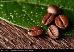 How to improve the skill of Coffee flower drawing Italian blending Coffee beans Italian Coffee concentrate