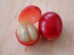 Kenyan Coffee Bean Cafe with berry, citrus and plum taste