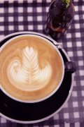 Latte Little tips professional barista makes coffee blue mountain flavor blending at home.