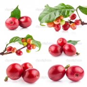 The basic essentials of frying with Italian coffee beans coffee appears astringent and irritating to the throat