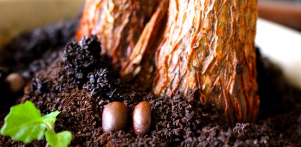 The wonderful use of coffee grounds that you don't know