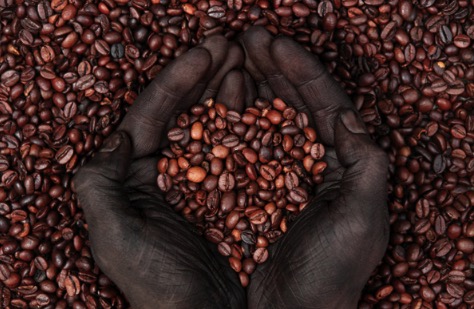 Knowledge of common boutique coffee beans (single coffee)