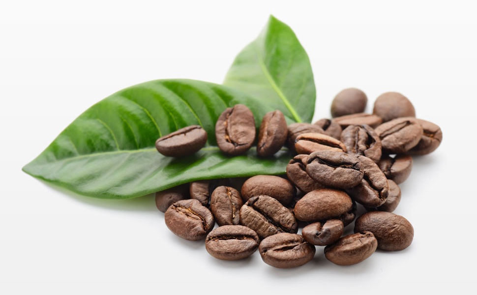 The overall taste is rich and balanced Bolivian coffee flavor, characteristics, taste and manor introduction