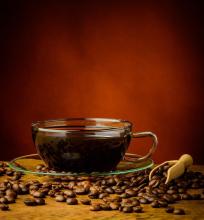 Introduction to Antigua Coffee