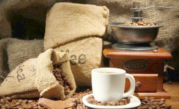 Salvadoran coffee producing areas introduce Salvadoran coffee beans