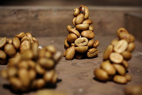 Mild sour, bitter and sweet El Salvador coffee flavor, characteristics, taste and manor