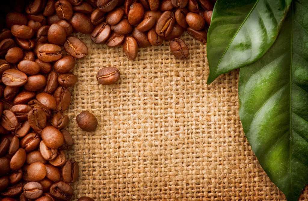 With fruity flavor Kenyan coffee varieties taste characteristics manor boutique coffee bean flavor introduction