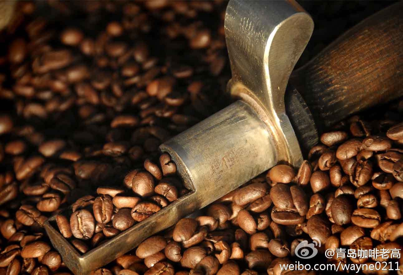 Bancimaji Coffee with Flavor Flavor Variety characteristics of Fine Coffee beans in Manor